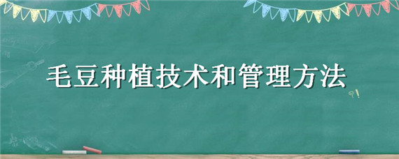 毛豆种植技术和管理方法 毛豆的种植管理