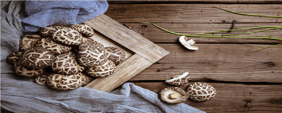 一个蘑菇菌包能用几次(蘑菇菌包是一次性的吗)