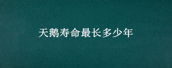 天鹅寿命最长多少年 白天鹅的寿命最多是多少年
