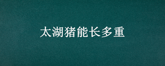 太湖猪能长多重 太湖猪能长多重一头