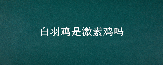 白羽鸡是激素鸡吗 白羽肉鸡到底有激素吗能吃吗