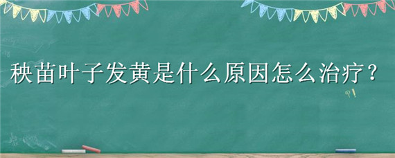 秧苗叶子发黄是什么原因怎么治疗 蔬菜秧苗叶子发黄是什么原因怎么治疗