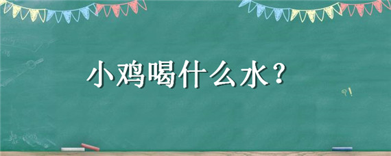 小鸡喝什么水 小鸡喝什么水不拉稀