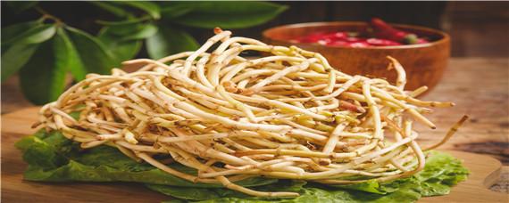 折耳根大棚种植技术（折耳根大棚种植方法与技术）