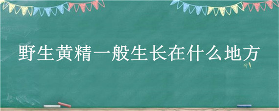 野生黄精一般生长在什么地方 黄精一般生长在哪里