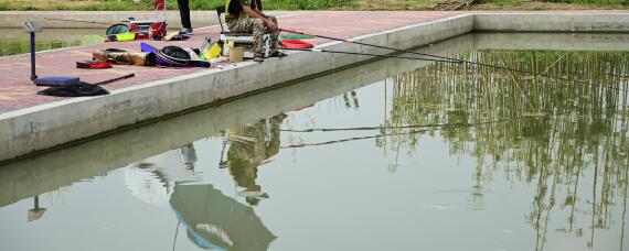 鱼塘水发黑怎么才能让水变清 鱼塘里的水变黑是怎么回事