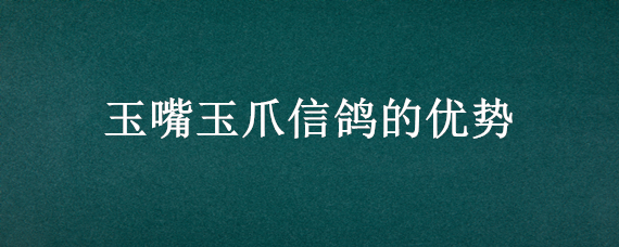 玉嘴玉爪信鸽的优势 玉爪玉嘴的鸽子好吗