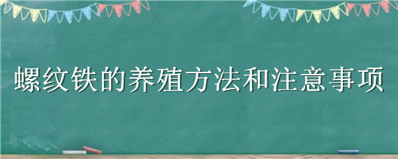 螺纹铁的养殖方法和注意事项 螺纹铁怎么养殖