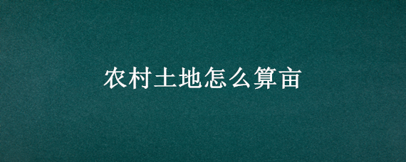 农村土地怎么算亩（农村那个地亩数怎么算）