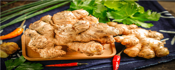 洋姜种植技术和时间 洋姜种植技术和时间视频