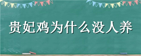 贵妃鸡为什么没人养 贵妃鸡为什么养不大