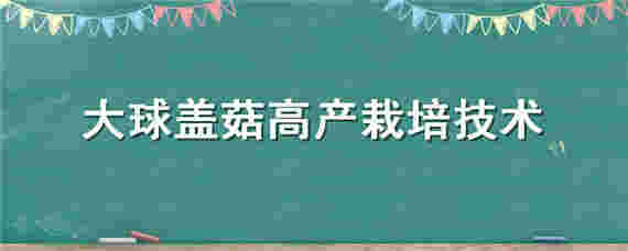 大球盖菇高产栽培技术 大球盖菇高产栽培技术论文