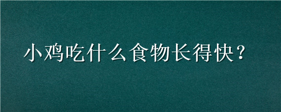 小鸡吃什么食物长得快 小鸡要吃了什么长得最快