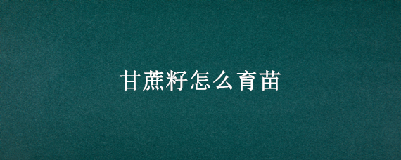 甘蔗籽怎么育苗 甘蔗籽怎么种植