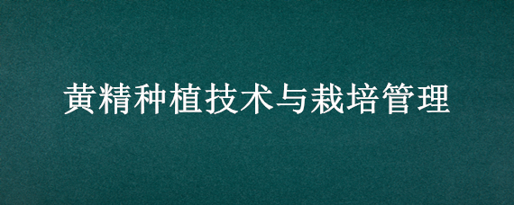 黄精种植技术与栽培管理 黄精的生长环境及种植技术