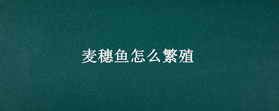 麦穗鱼怎么繁殖 麦穗鱼怎么繁殖视频