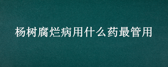 杨树腐烂病用什么药最管用（杨树腐烂病防治方法）