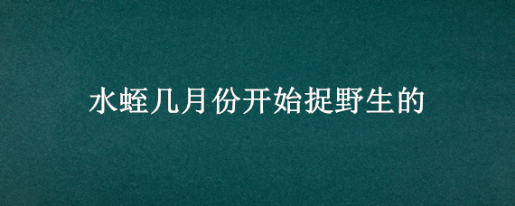 水蛭几月份开始捉野生的（野生水蛭几月份开始抓）