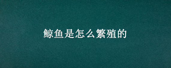 鲸鱼是怎么繁殖的 鲸鱼的繁殖方式是什么