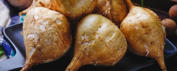 凉薯种植技术和管理方法（凉薯的种植方法和管理）