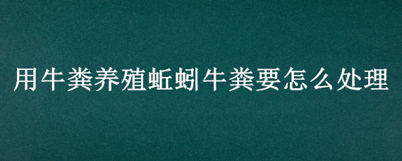 用牛粪养殖蚯蚓牛粪要怎么处理(牛粪怎样处理才能养蚯蚓?)
