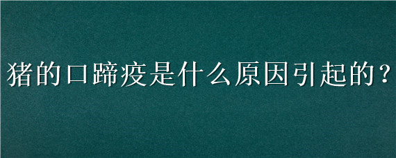 猪的口蹄疫是什么原因引起的 和猪口蹄疫症状一样的是什么病