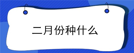 二月份种什么（二月份种什么花合适）