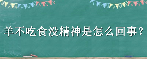 羊不吃食没精神是怎么回事 羊子不吃食没精神是什么情况?