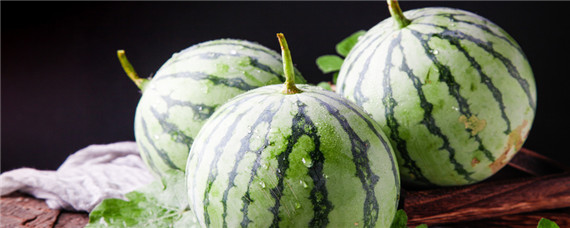 西瓜病害（西瓜病害图片大全）