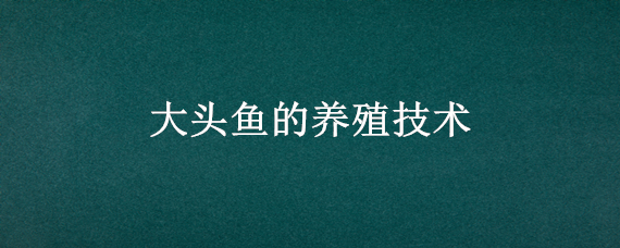 大头鱼的养殖技术（大头鱼养殖技术与注意事项）