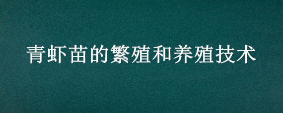 青虾苗的繁殖和养殖技术 虾苗幼体养殖技术