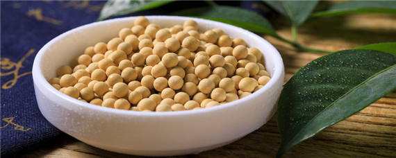 蒙豆1137大豆种子积温 蒙豆1137大豆种子积温鑫鹏博非凡物流单号0008471