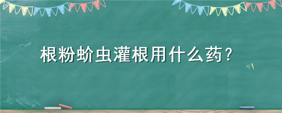 根粉蚧虫灌根用什么药 根粉蚧用什么药最有效