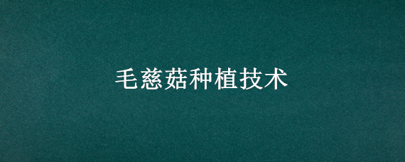 毛慈菇种植技术（毛慈菇种植技术种子育苗）