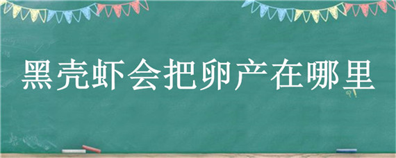 黑壳虾会把卵产在哪里 黑壳虾的卵产在哪里