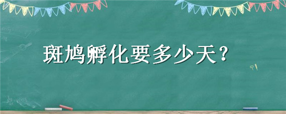 斑鸠孵化要多少天（斑鸠孵化要多少天到会飞得多少天）