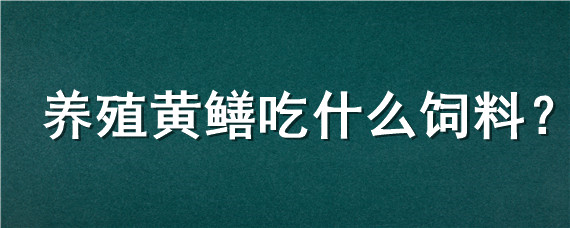 养殖黄鳝吃什么饲料（鳝鱼养殖吃什么饲料）