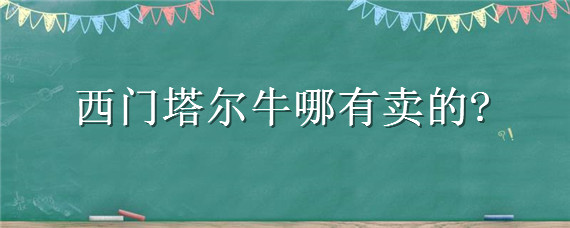 西门塔尔牛哪有卖的 什么地方有西门塔尔牛