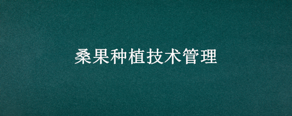 桑果种植技术管理（桑果树怎样种植）