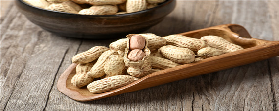 种花生的时间和方法（种花生什么时间合适）