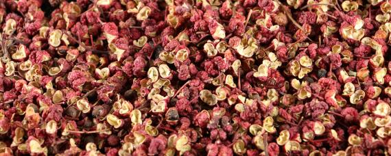 花椒种植需要什么条件 花椒种植的条件