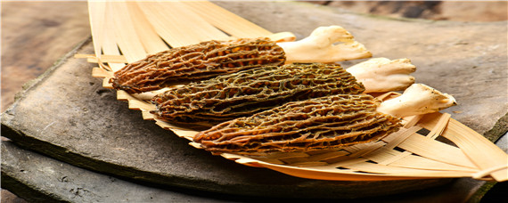 羊肚菌有野生的吗 羊肚菌有野生的吗?