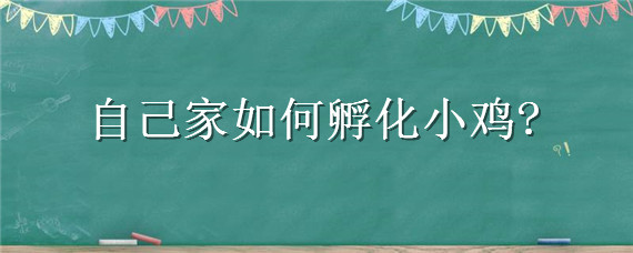 自己家如何孵化小鸡 自己家如何孵化小鸡方法,不用容器