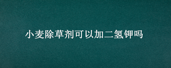 小麦除草剂可以加二氢钾吗（麦田除草剂可以和磷酸二氢钾一起用吗）