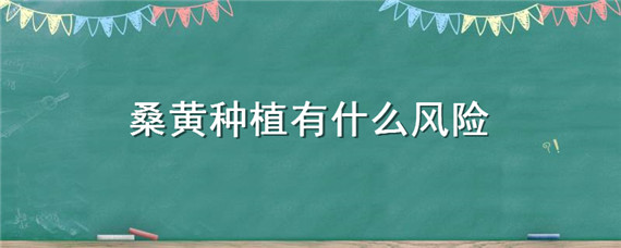 桑黄种植有什么风险（桑黄种植常见问题）