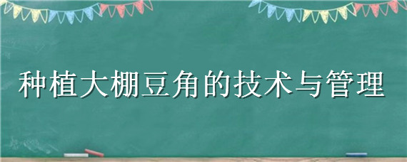种植大棚豆角的技术与管理 蔬菜大棚豆角种植和管理技术