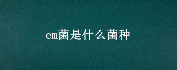em菌是什么菌种（em菌是什么菌种用法用量）