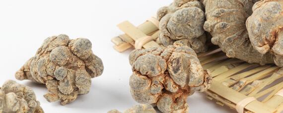 田七种植方法与生长环境 田七的生长环境及其特点