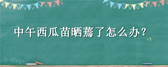 中午西瓜苗晒蔫了怎么办 西瓜苗萎蔫怎么回事