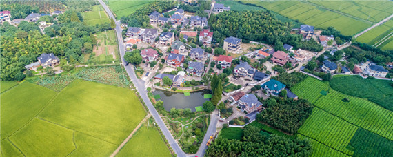 农村建设美丽乡村有哪些项目（农村建设美丽乡村有哪些项目泰安）